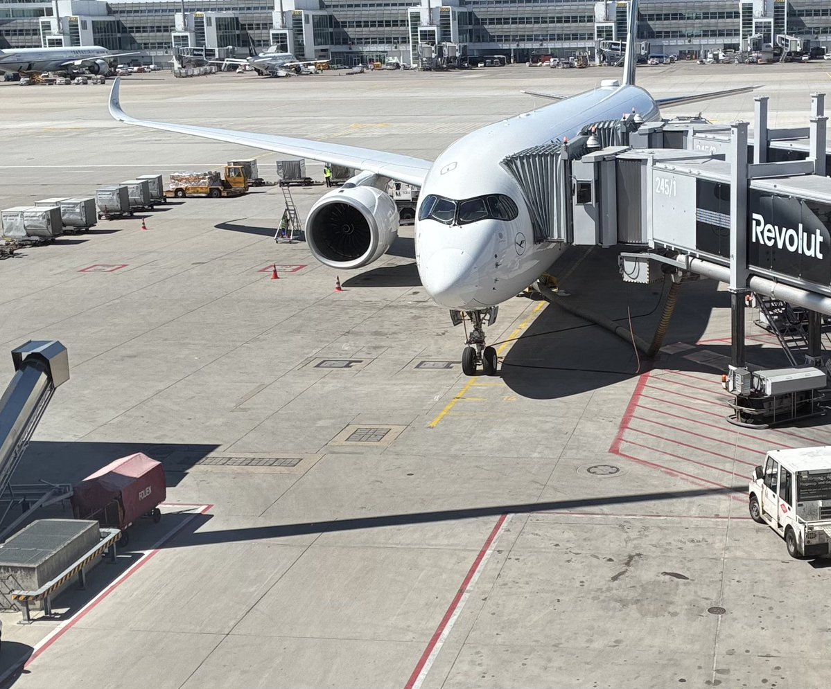 マインツ親分🇩🇪 tweet media