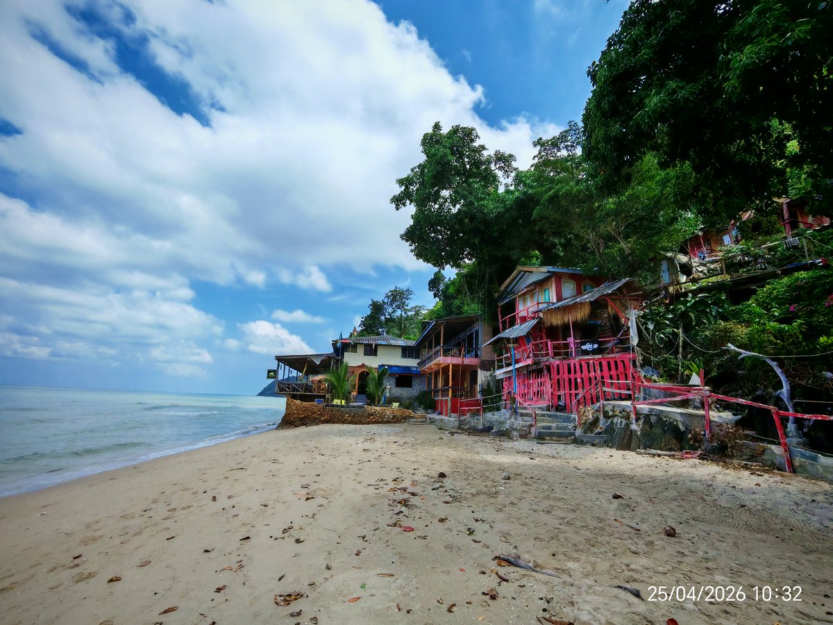 TrueAlphaWolf 🐺 tweet media