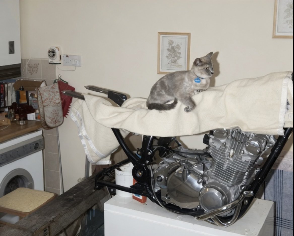 D.V. Catt tweet media