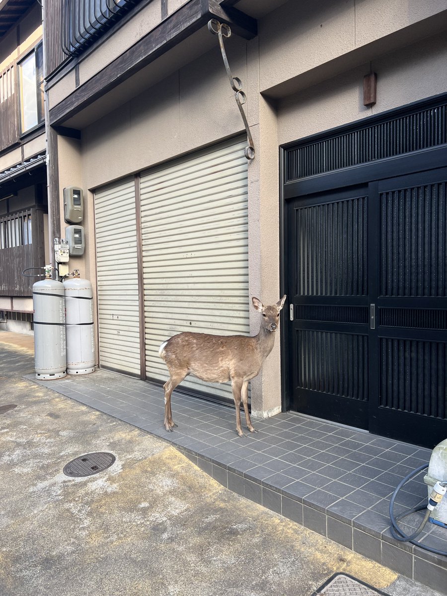 陽☀️ tweet media