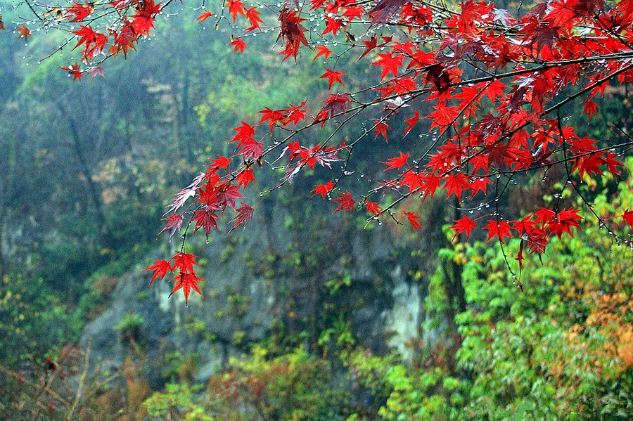 Jennifer tweet media