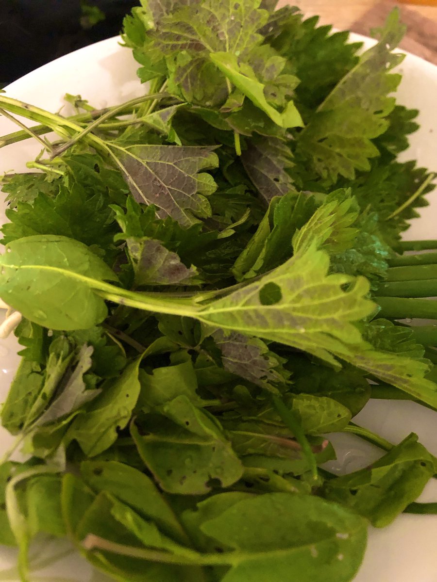 Инесса tweet media