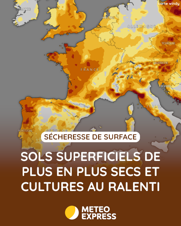 Météo Express tweet media