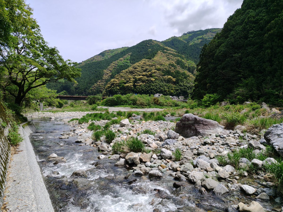 ひで😅 tweet media