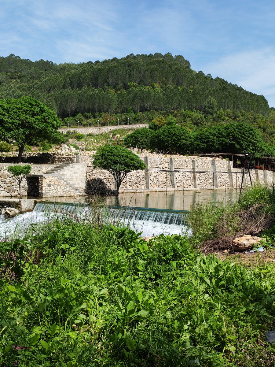 𝑴𝒔 𝒑𝒐𝒔𝒊𝒕𝒊𝒗𝒊𝒕𝒚  tweet media