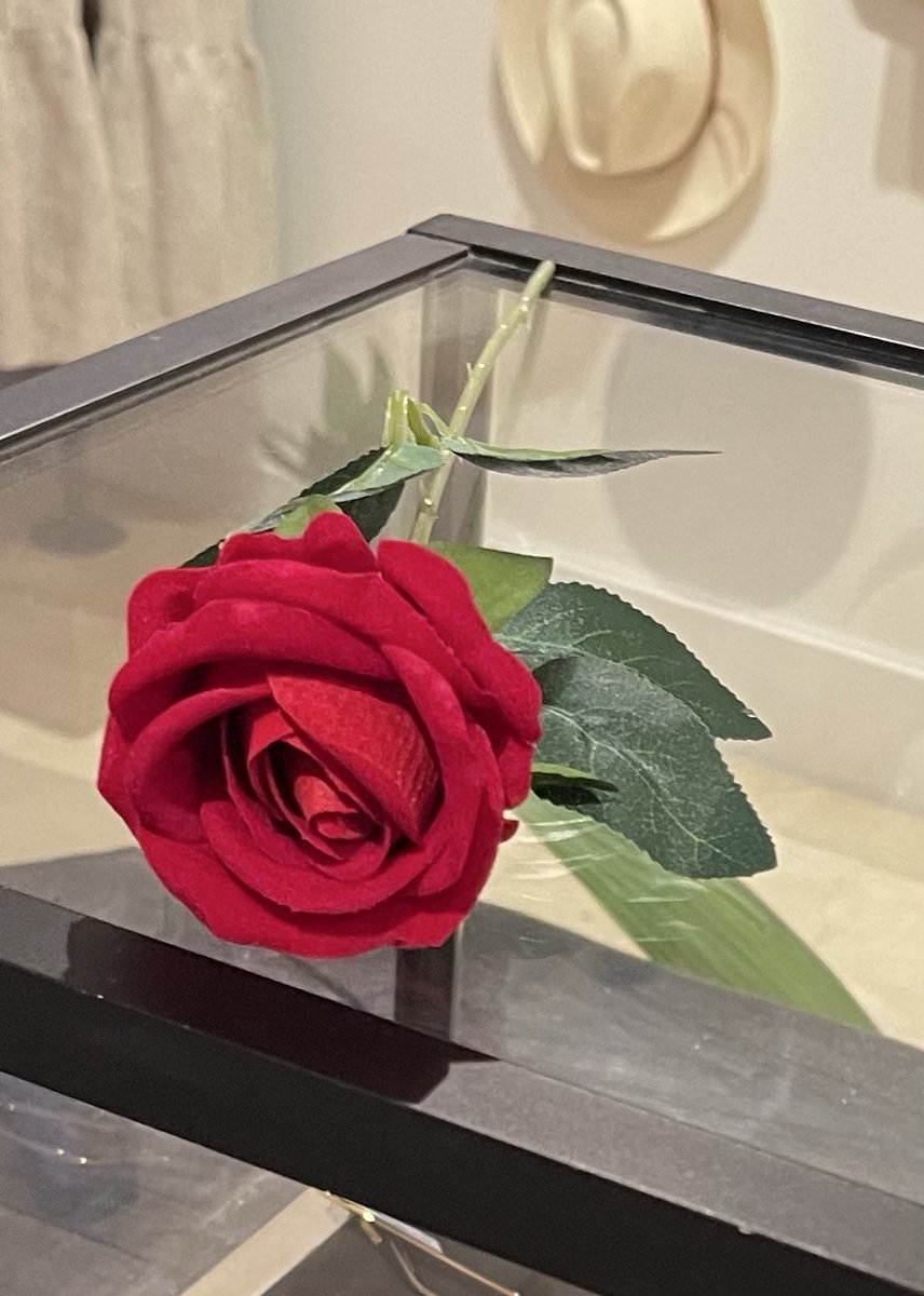 BrooklynMorganJ's tweet image. meeting
souls

that
understand

what
really
matters

is
what
is

most
beautiful 

i am
brooklynmorgan
#inspire #kindness #poetry