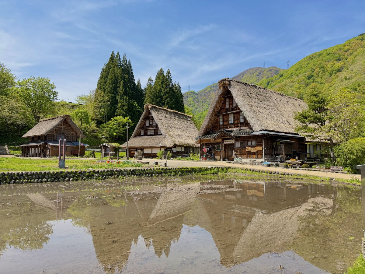 てるや tweet media