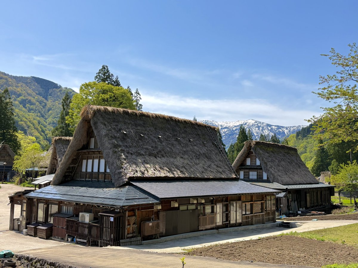 てるや tweet media