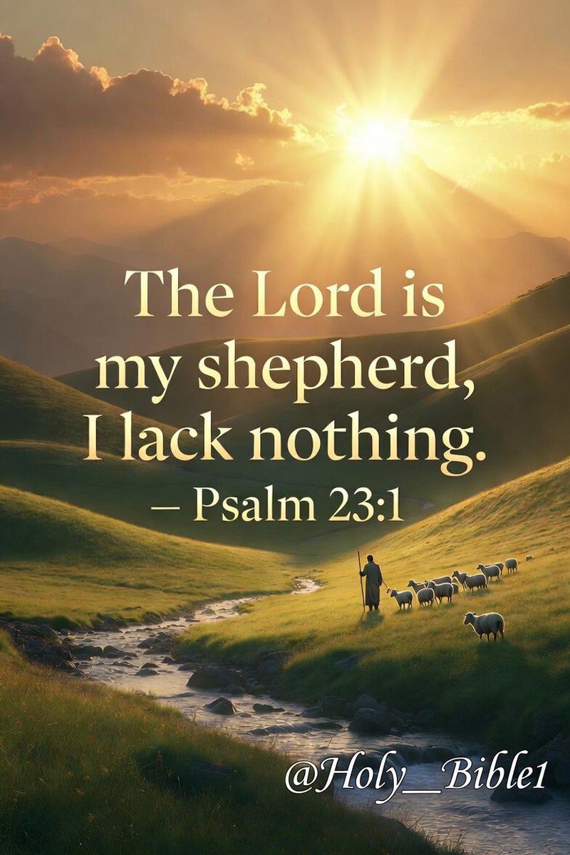 Holy Bible tweet media