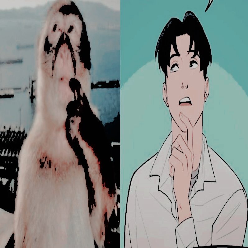 𝐖𝑬𝐒. tweet media