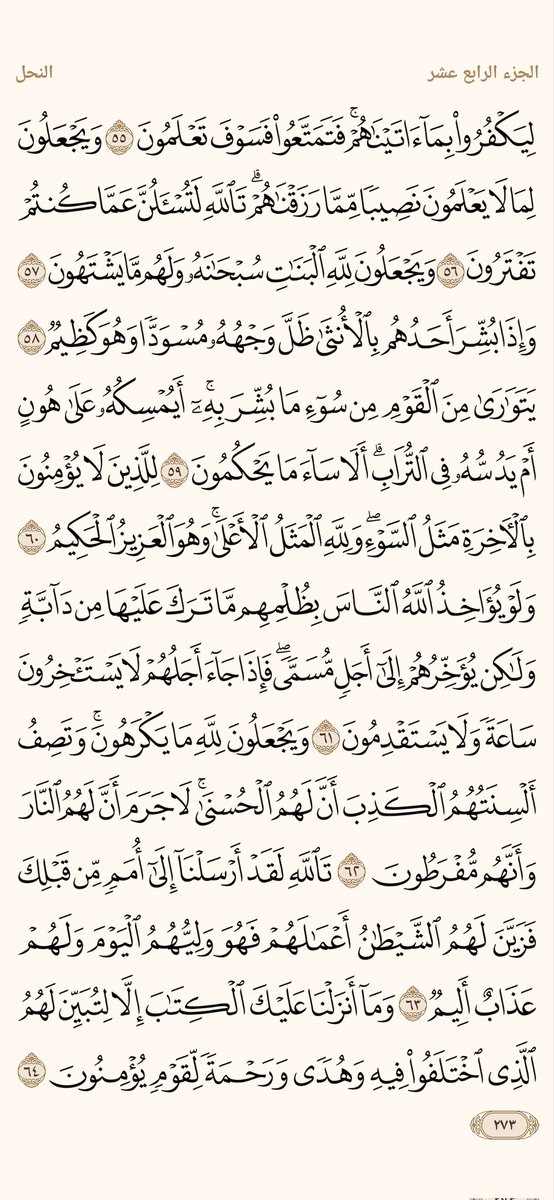 الورد اليومي tweet media