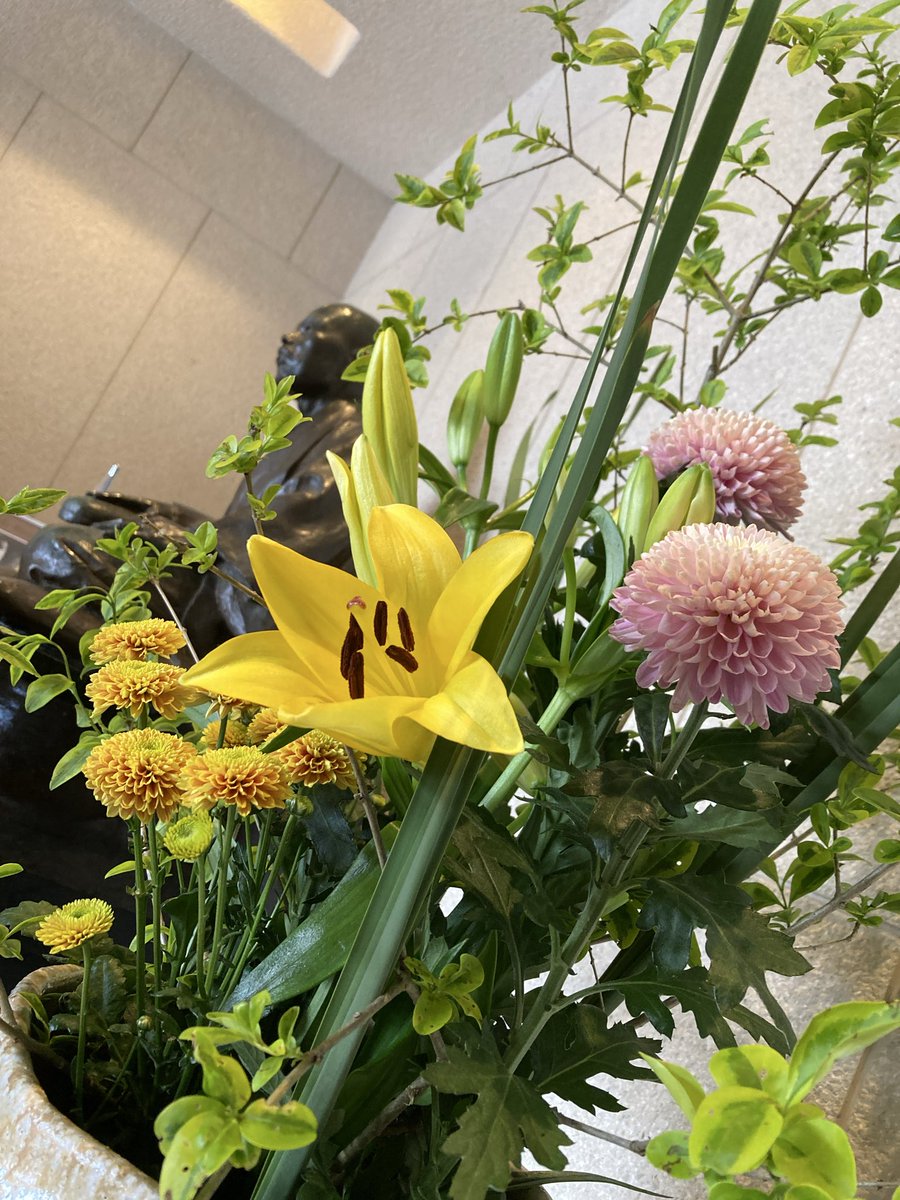 松山市立子規記念博物館_公式（しっきー） tweet media