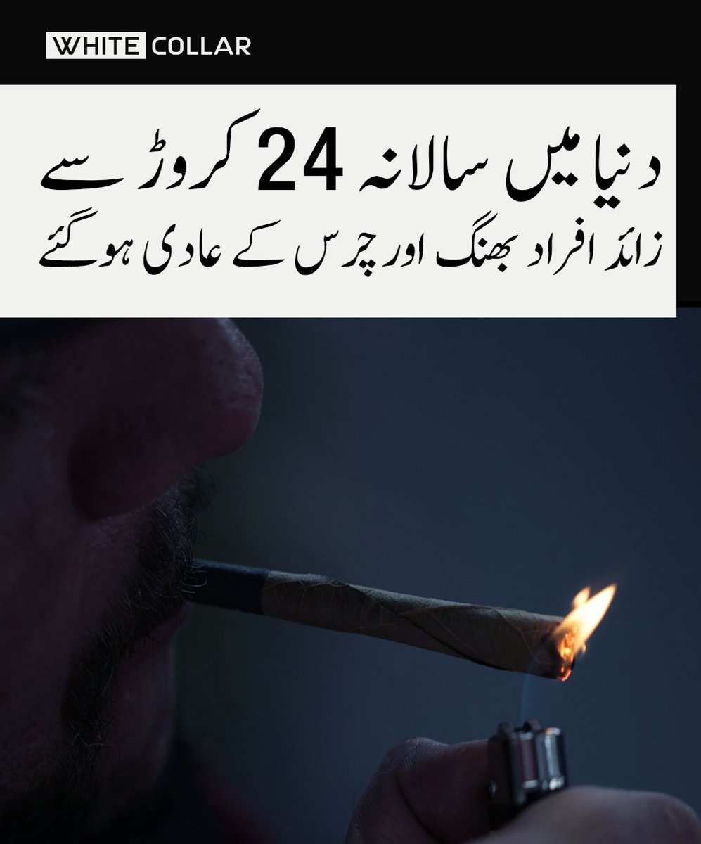 WhiteCollarPK's tweet image. بھنگ کے استعمال میں خطرناک اضافہ، عالمی رپورٹ میں تشویشناک انکشاف، طاقتور THC مصنوعات نے صحت کے خطرات مزید بڑھا دیے
#WhiteCollar #TopTrending #Updated #Viral #Cannabis #GlobalReport #HealthAlert #DrugAwareness #UNReport #MentalHealth #BreakingNews