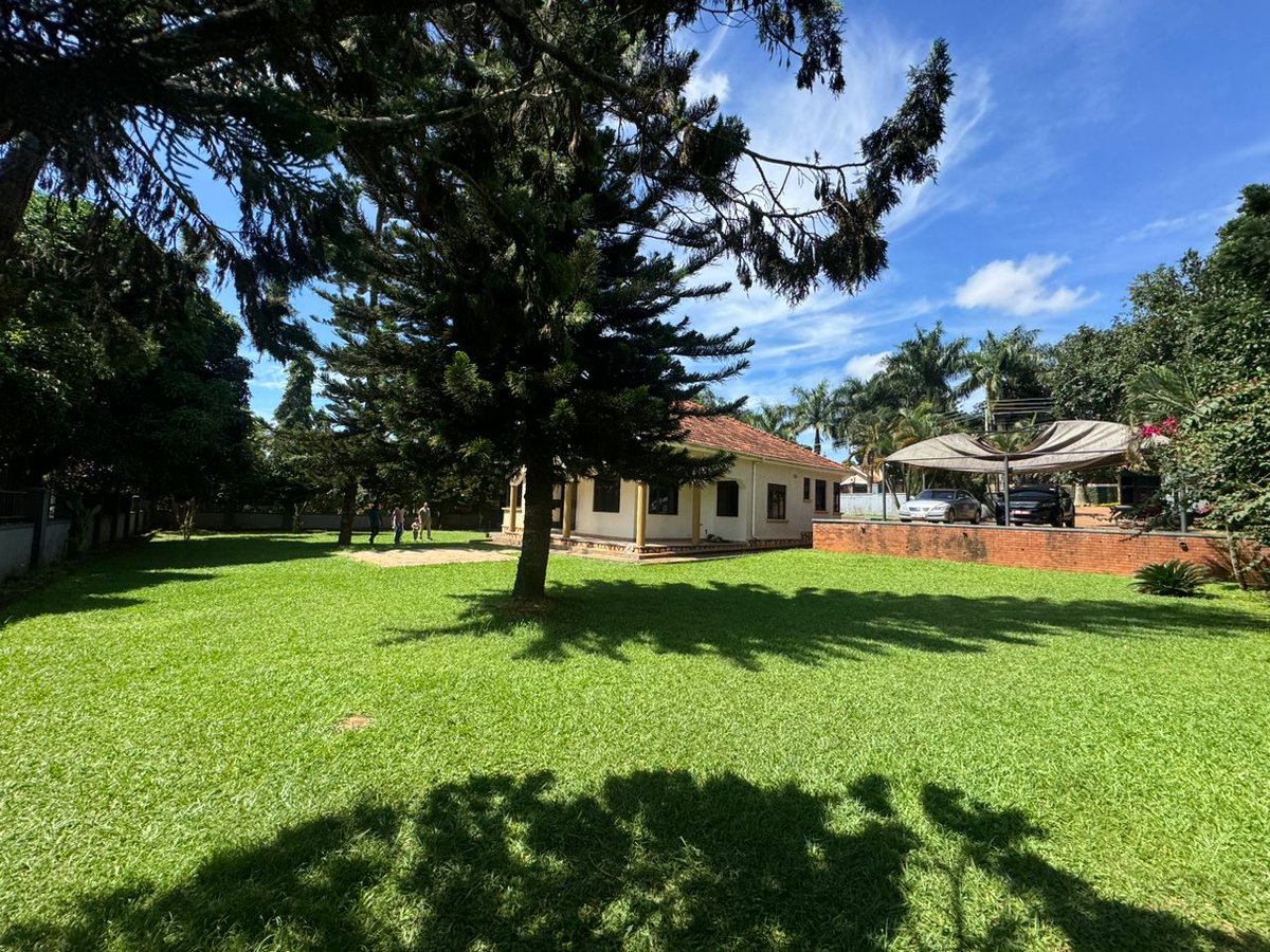 Kampala Metropolitan Properties tweet media