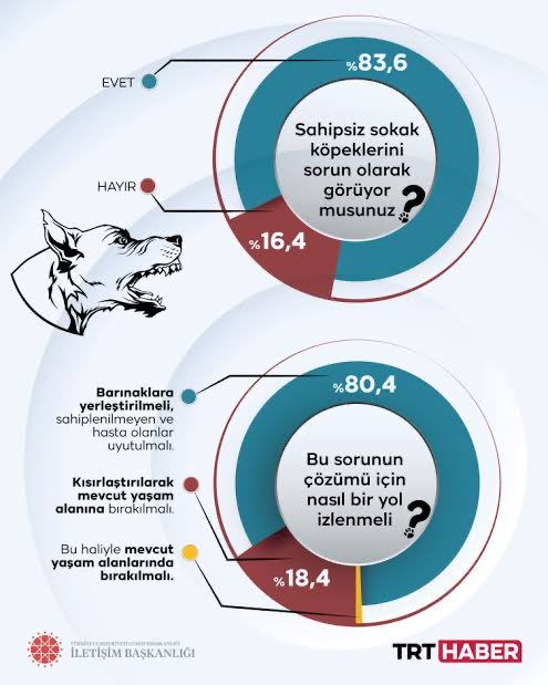 MehmetX tweet media