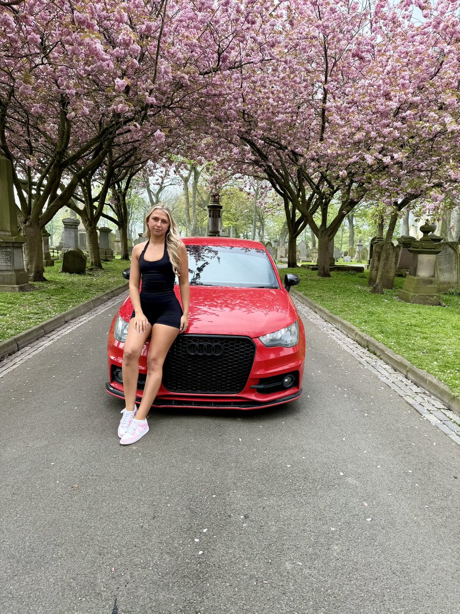 Chloe Adams tweet media