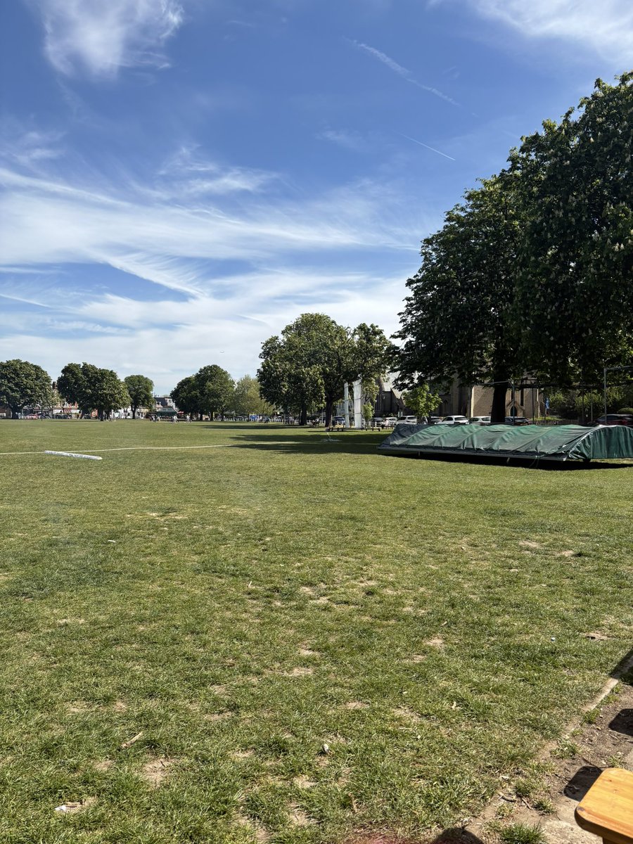 Elizabeth Ammon tweet media