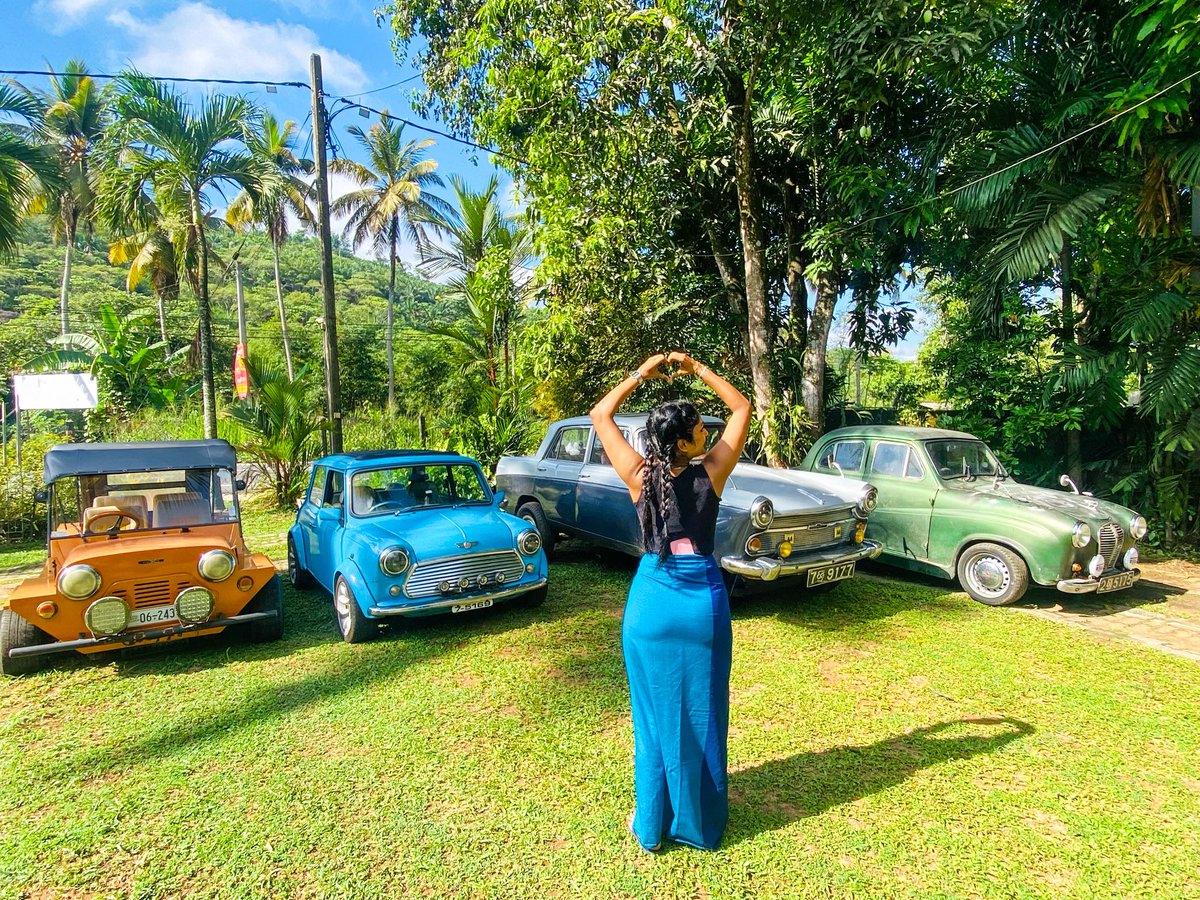 S H E N U✨ tweet media