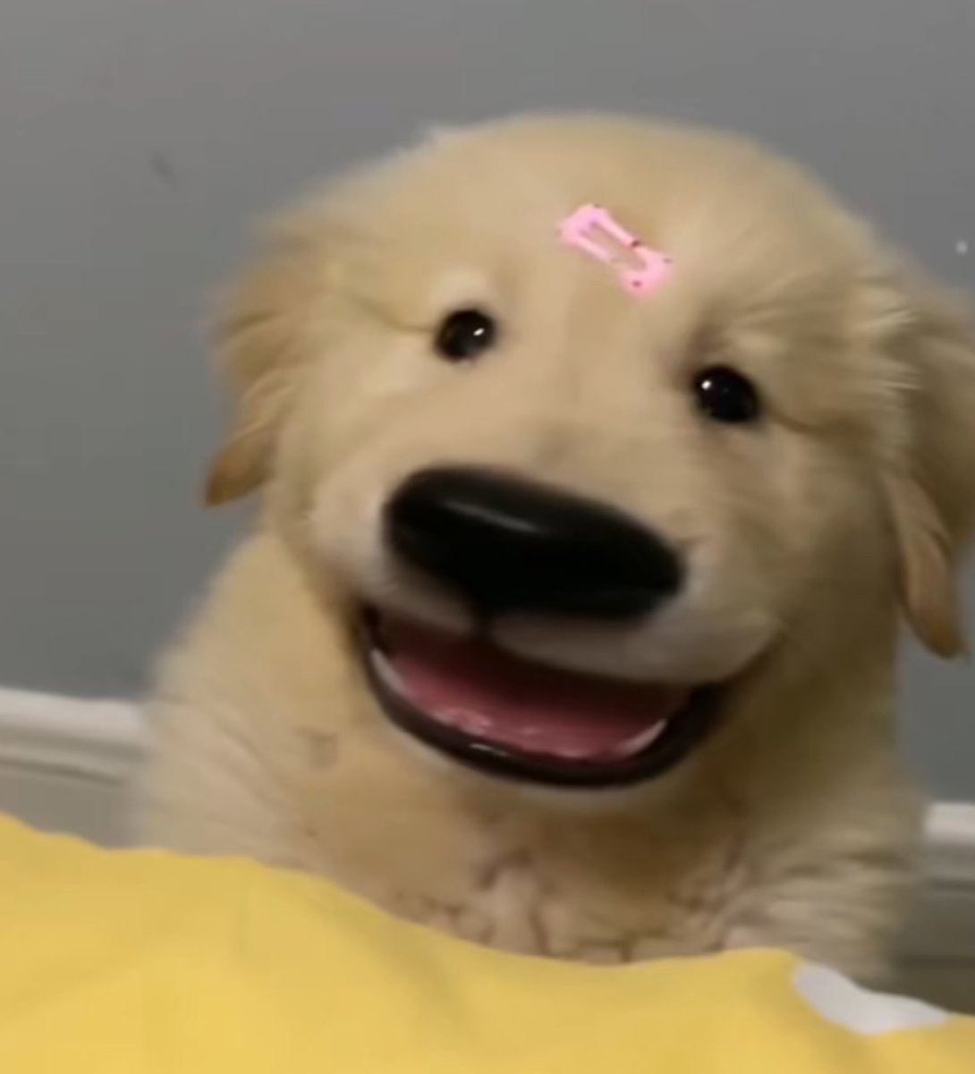 คุณหมิงมิ้งหมิงหัวใจพี่ซีพรึก🍀 tweet media