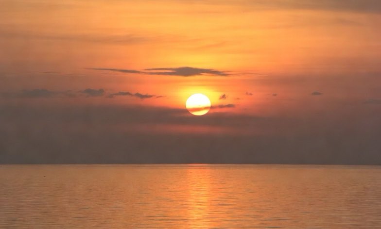 Alaa Naimi tweet media