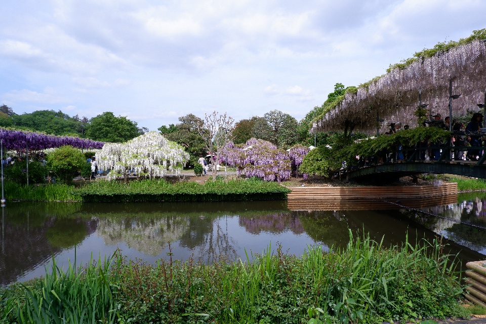 stwest_betamax tweet media