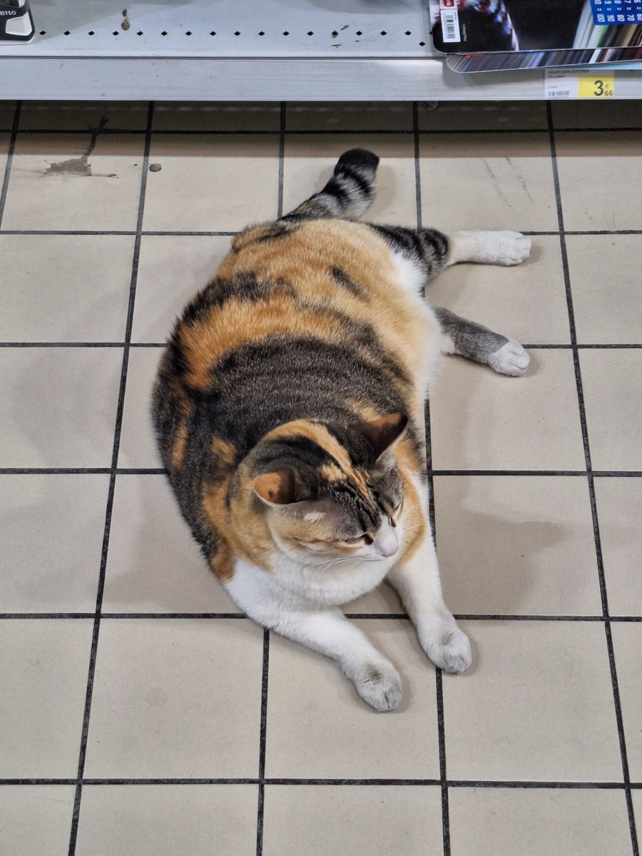 ᥅ꪊᦓ tweet media