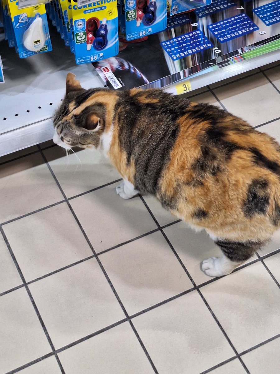 ᥅ꪊᦓ tweet media