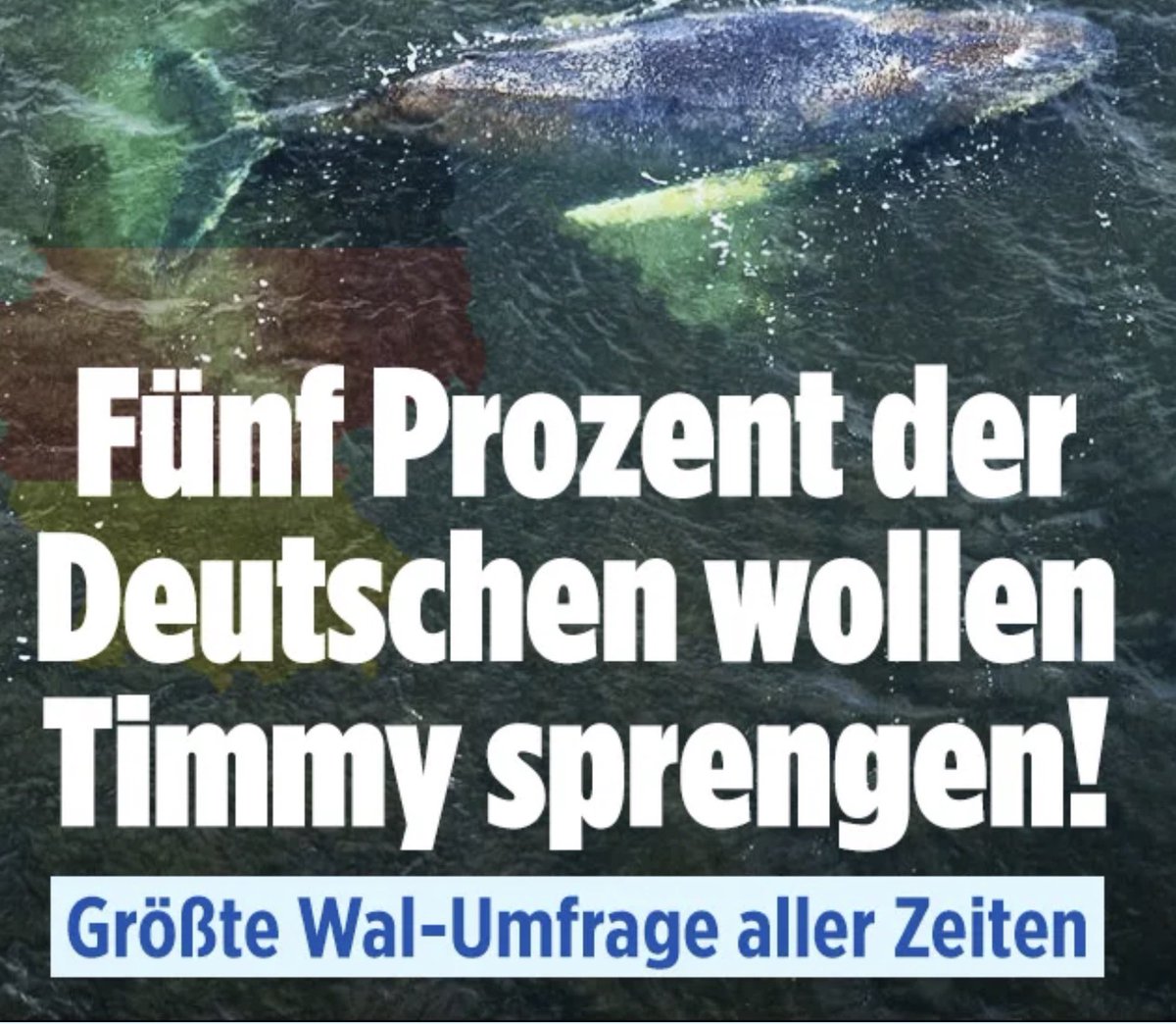 KlärchenKlabusterbärchen tweet media