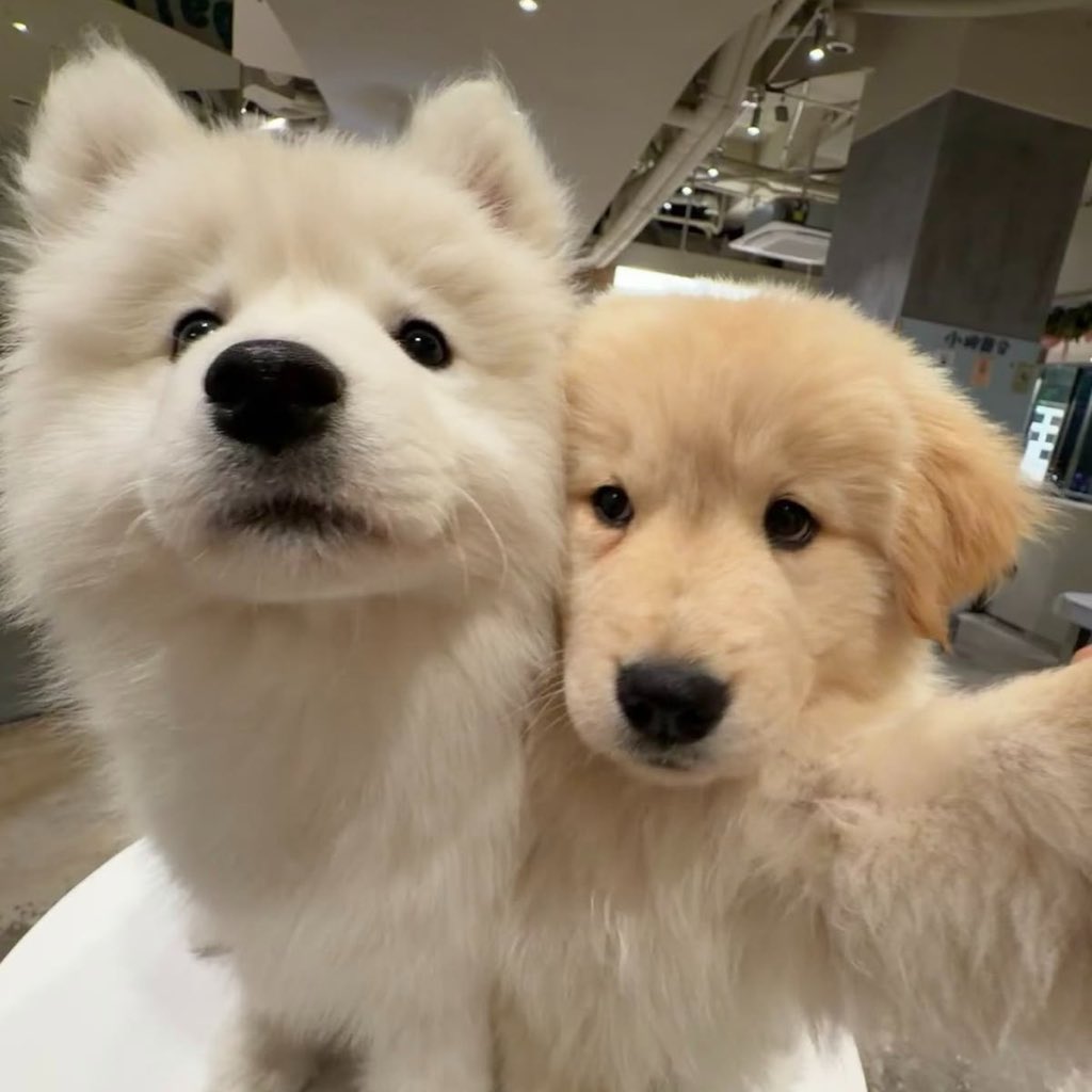 ૮ ․ ․ ྀིა

LINGORM X NOOM KANCHAI #LingOrmHeartTalkXKanchai