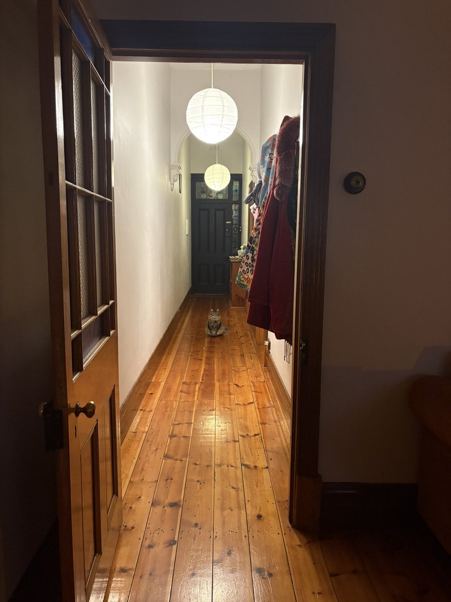 mrs mind freak tweet media