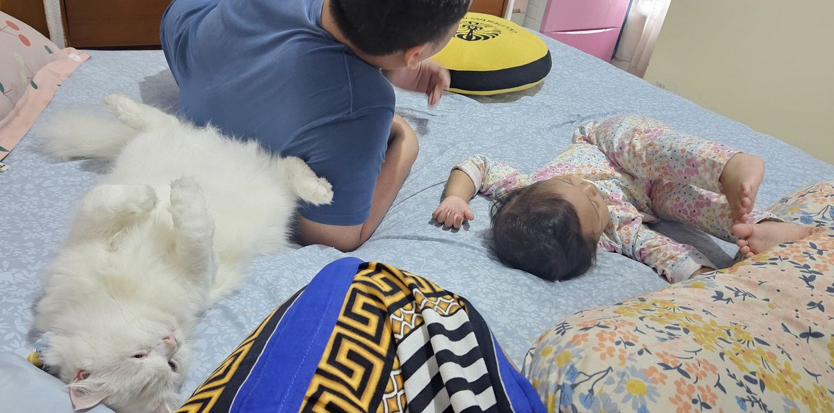 Dadang Sn(Owy) Gurniwa 🇵🇸 tweet media