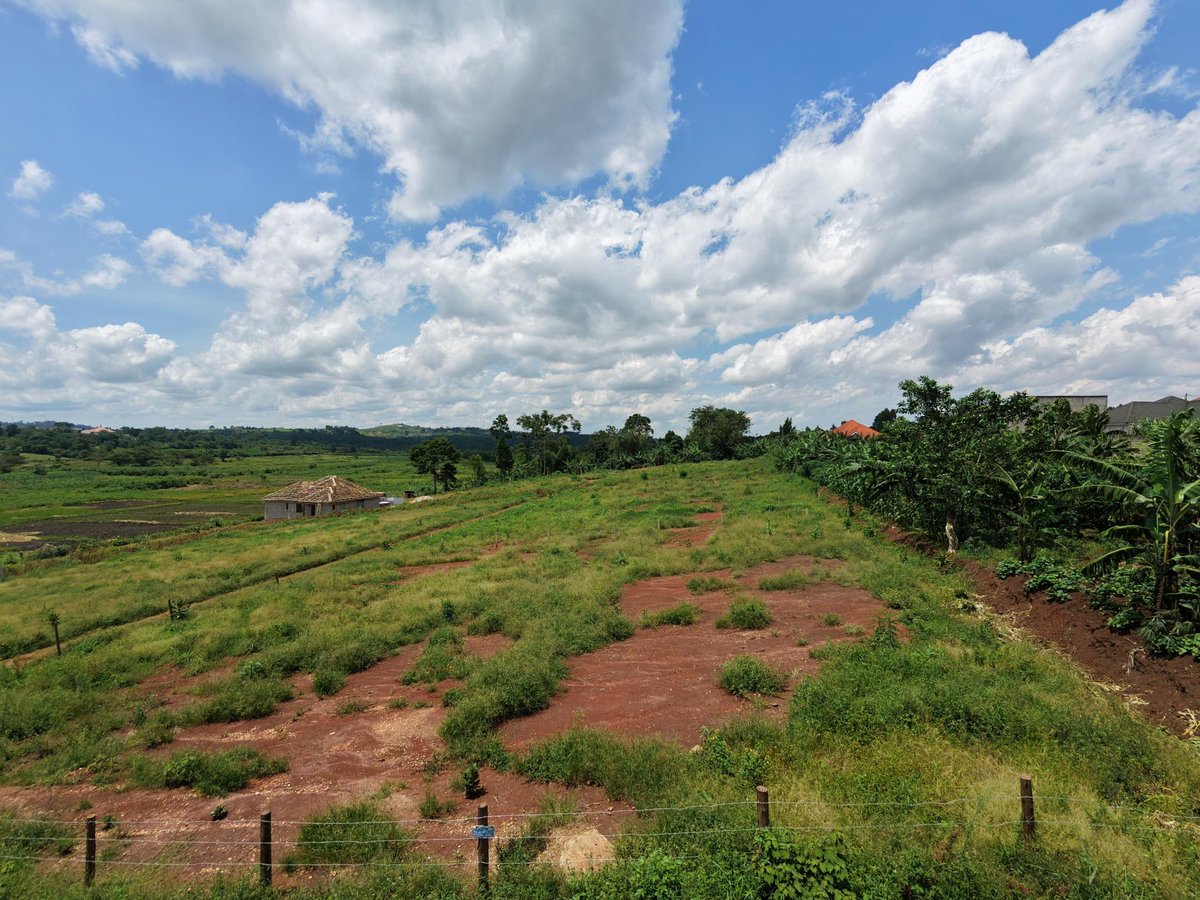 moshrealestates's tweet image. Kira Kitukutwe Phase 2 📍
50×100ft at UGX 85M 💰
Amazing payment plan available
Deposit: 50%

Invest with Mosh Real Estate Ltd today.

#MoshRealEstate #LandForSale #RealEstateUganda #InvestmentOpportunity #KiraKitukutwe