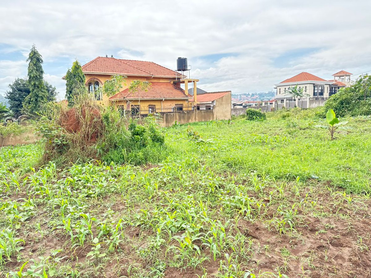 Kampala Metropolitan Properties tweet media