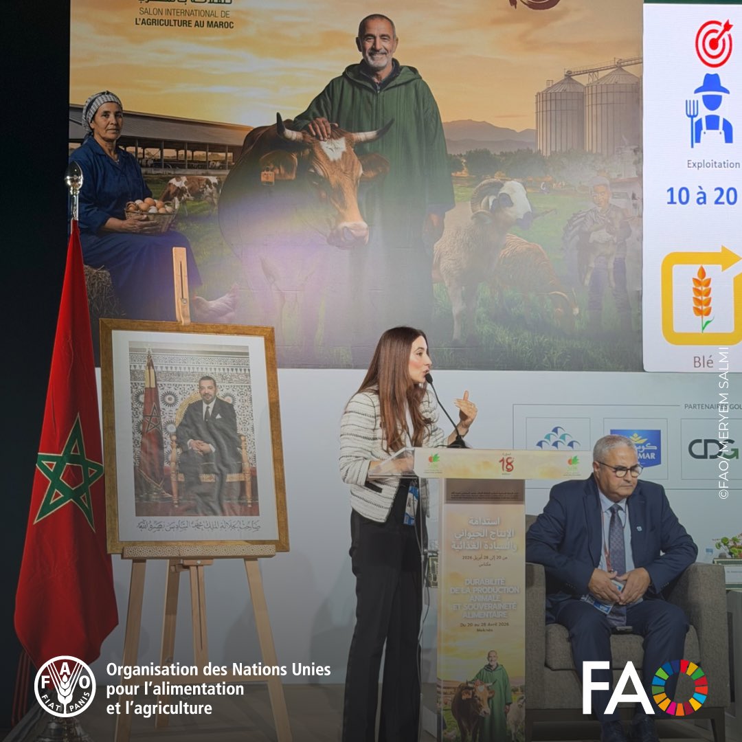 FAO au Maroc tweet media