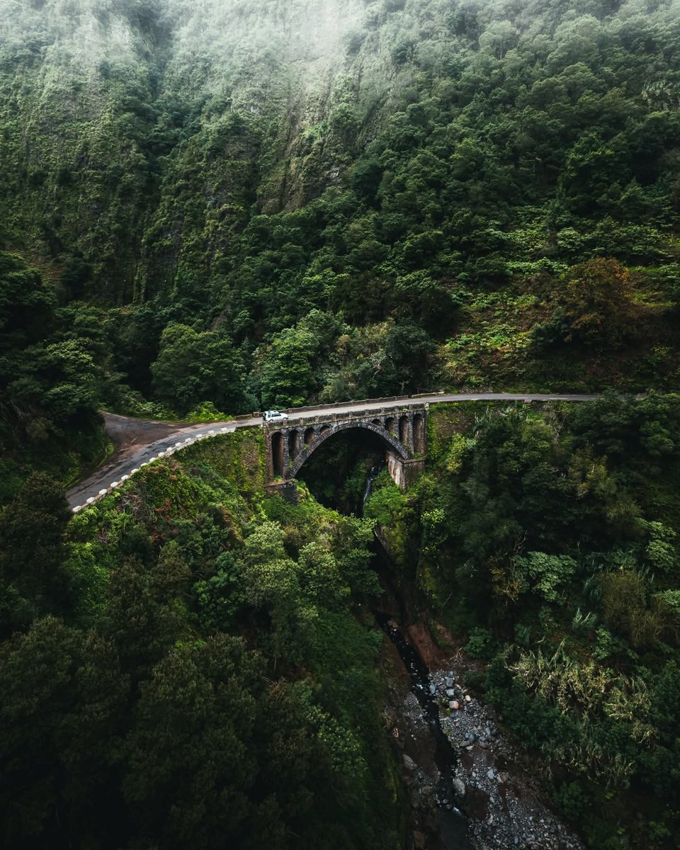 Amblojiggy's tweet image. Lushness of Madeira 🌿

#madeira #portugal #travel #photography