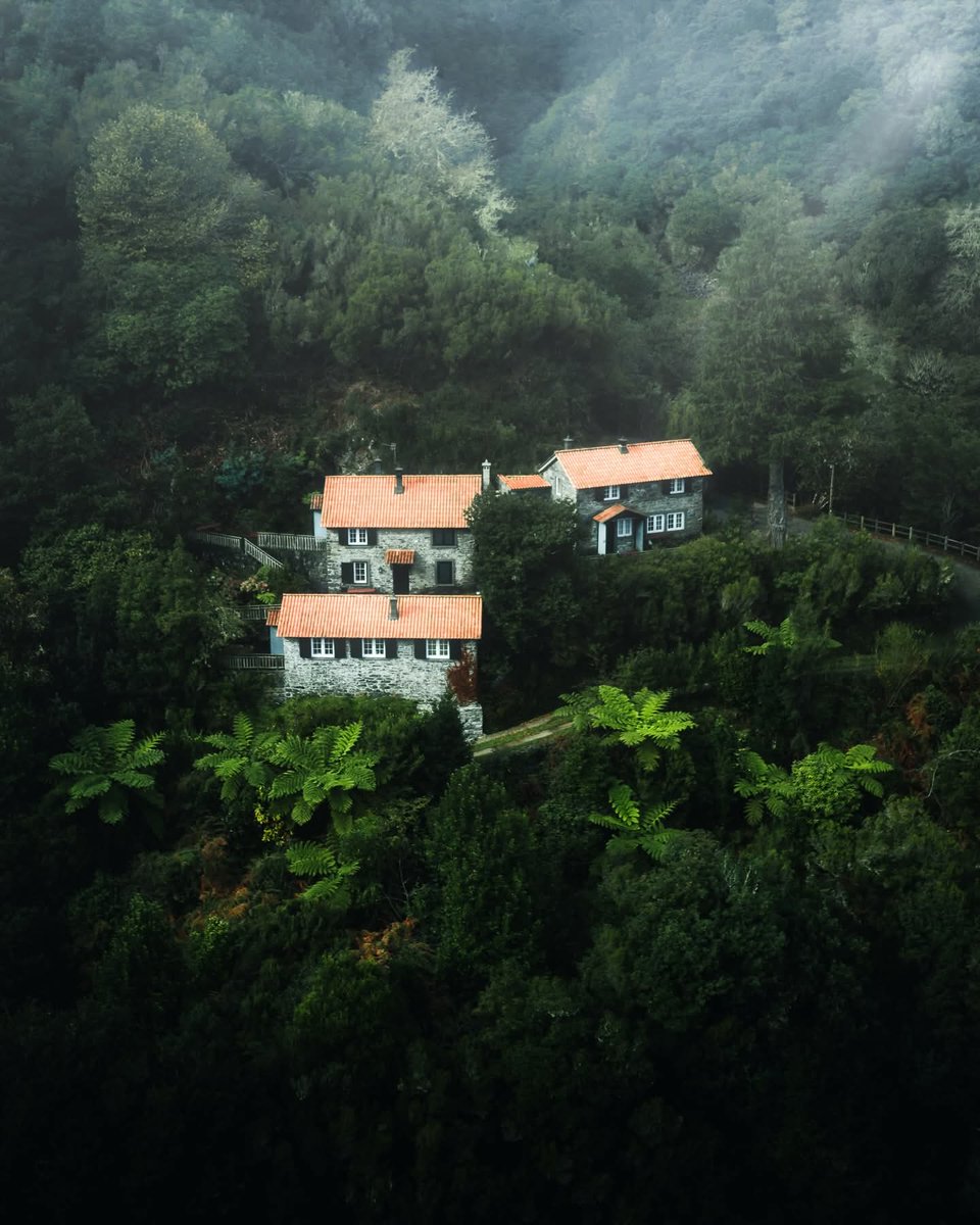 Amblojiggy's tweet image. Lushness of Madeira 🌿

#madeira #portugal #travel #photography