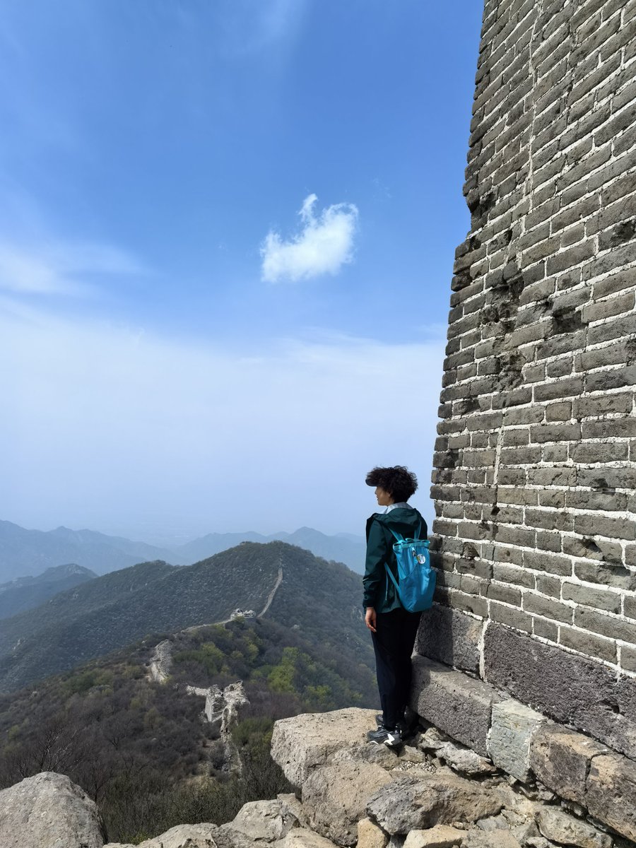 Mao Ning 毛宁 tweet media