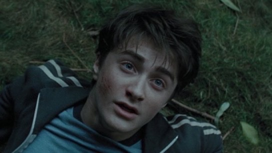 Daily Harry Potter tweet media