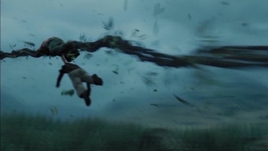 Daily Harry Potter tweet media