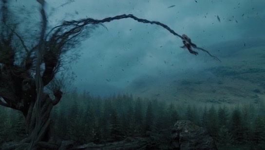 Daily Harry Potter tweet media