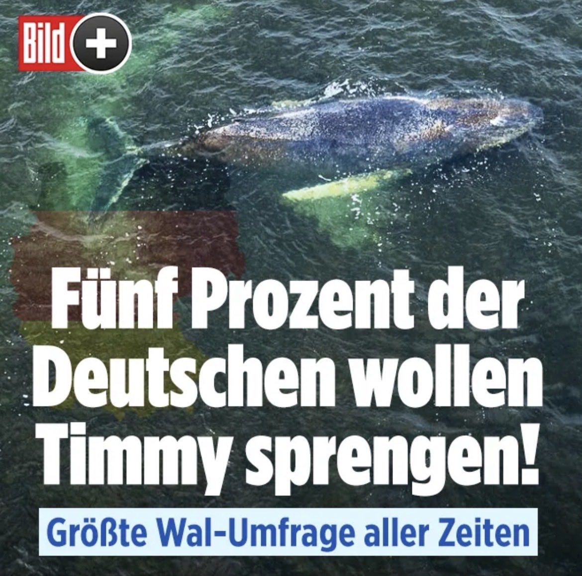 der fuji film zeppelin tweet media