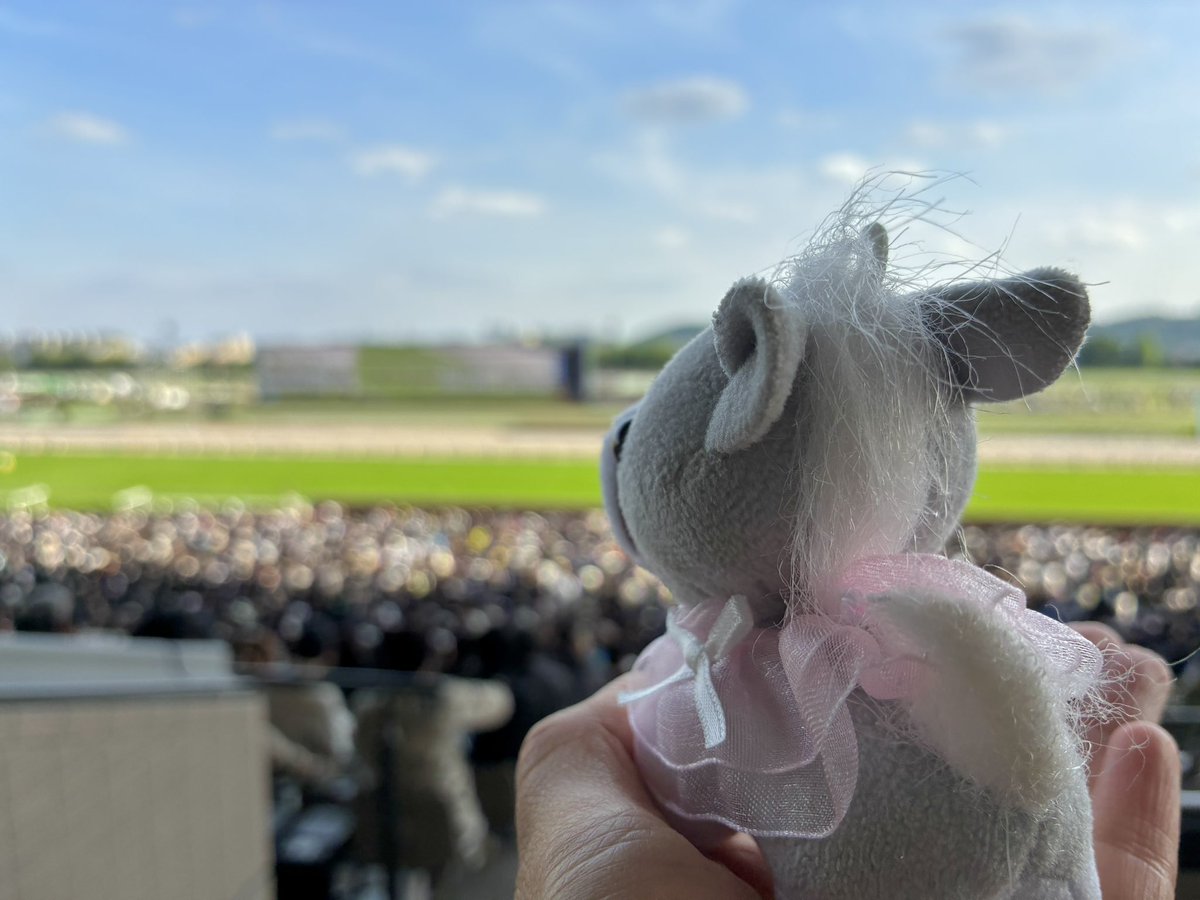 シャドーロールちゃん🪻 tweet media