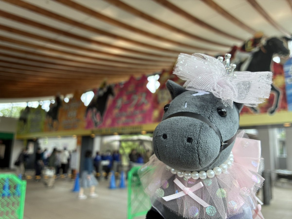 シャドーロールちゃん🪻 tweet media