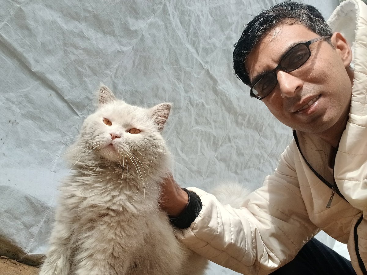 Cat lover tweet media