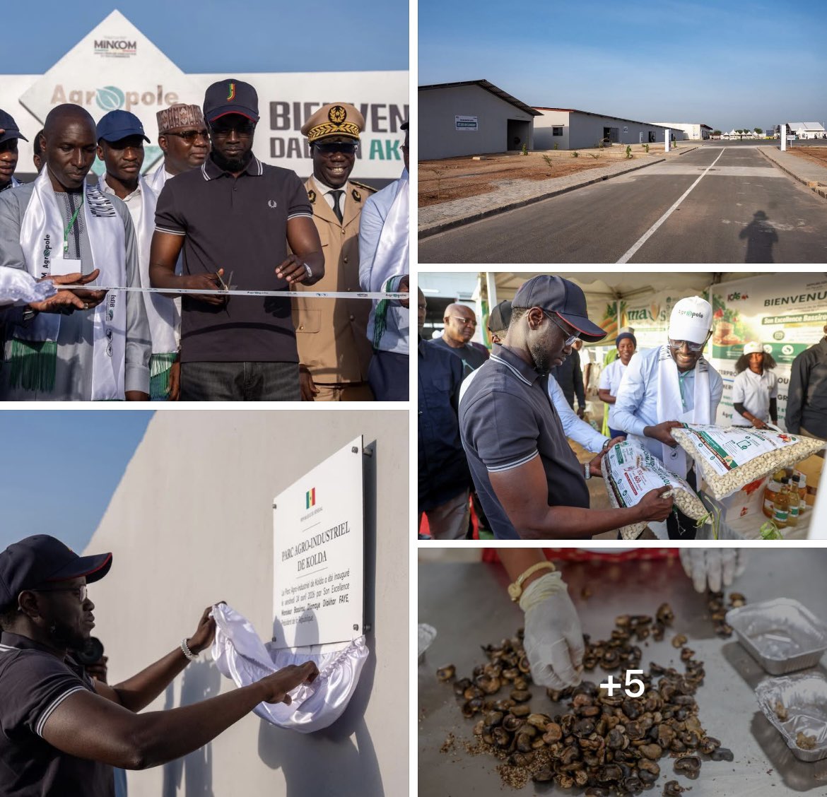 Fallou Fall tweet media