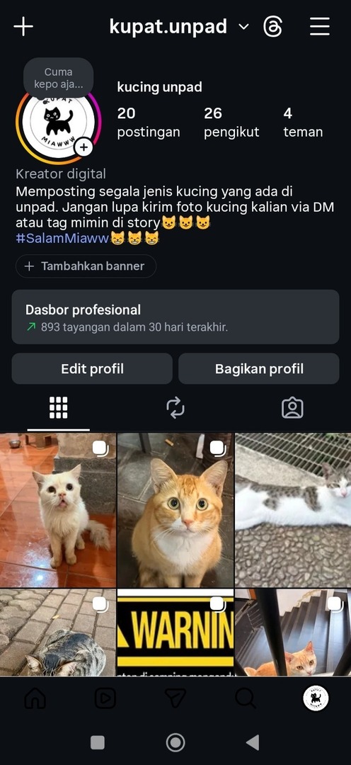 UNPADFESS X SUBMITIN.ID CEK TURNITIN DAN AI 24JAM tweet media