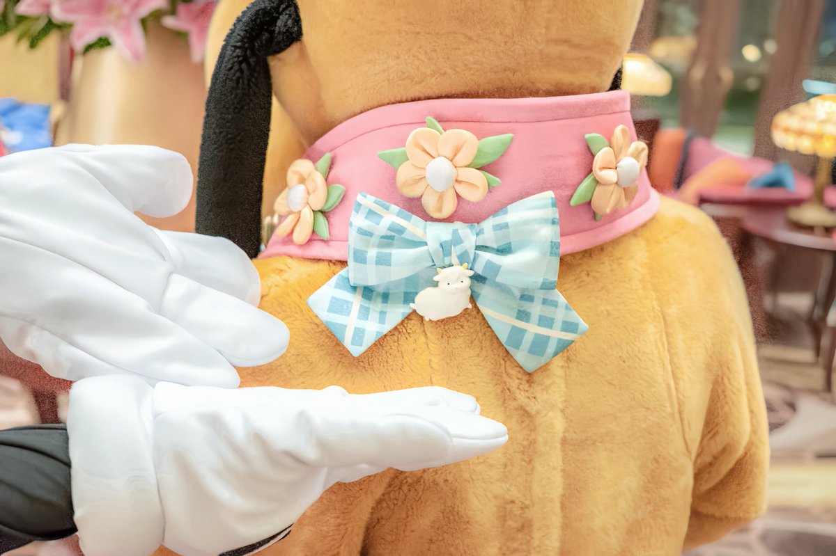 𝐒𝐚𝐚𝐲𝐚 tweet media