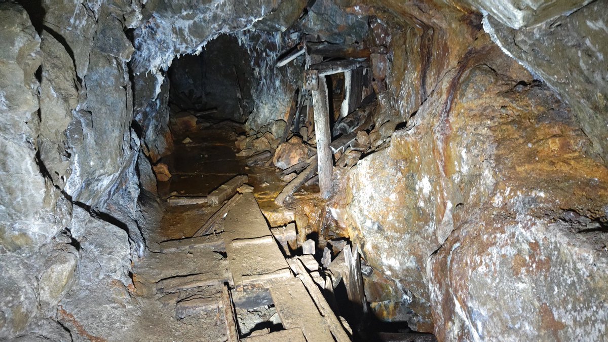 蓮水柊斗/SyutoHasumi tweet media