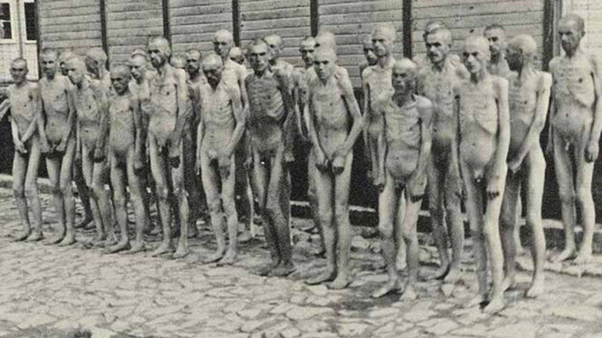 ♀️Jennifer Gingrich ✡️ tweet media