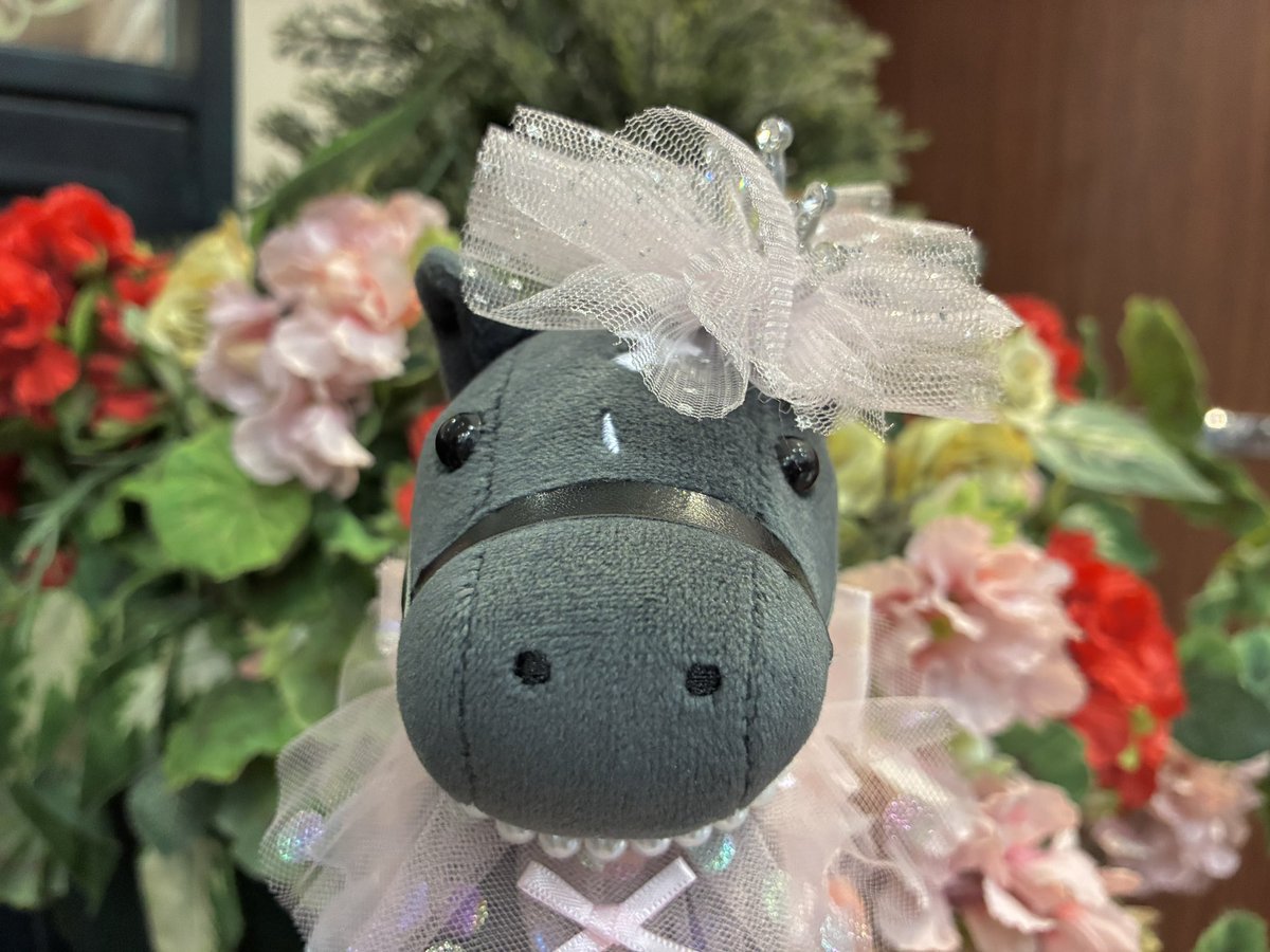 シャドーロールちゃん🪻 tweet media